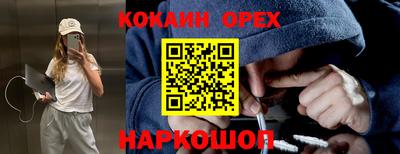 индика Можга