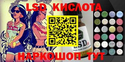 индика Можга