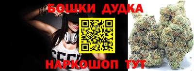 индика Можга