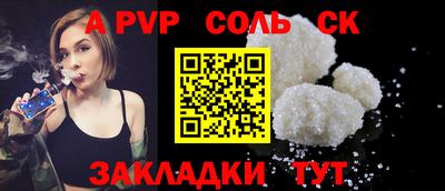 индика Можга