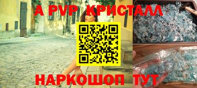 индика Можга